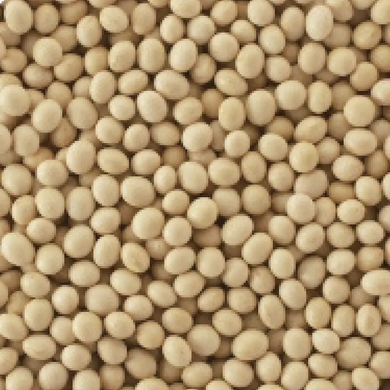 molecular sieve desiccant material