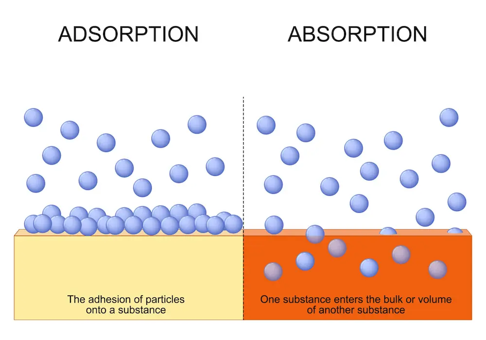 adsorption vs absorption